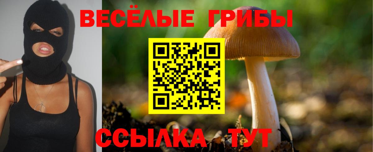 Псилоцибиновые грибы Psilocybine cubensis Ханты-Мансийск